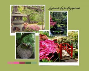 Optez pour un jardin japonais et la beauté de ses décors !