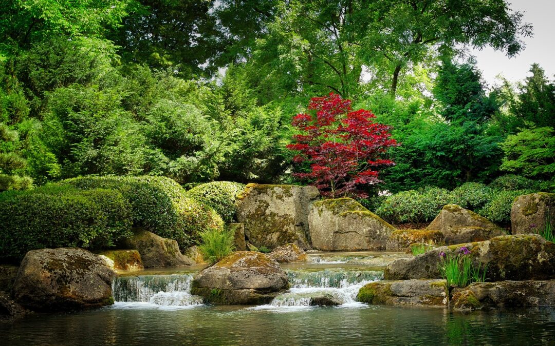 Créez un jardin japonais chez vous