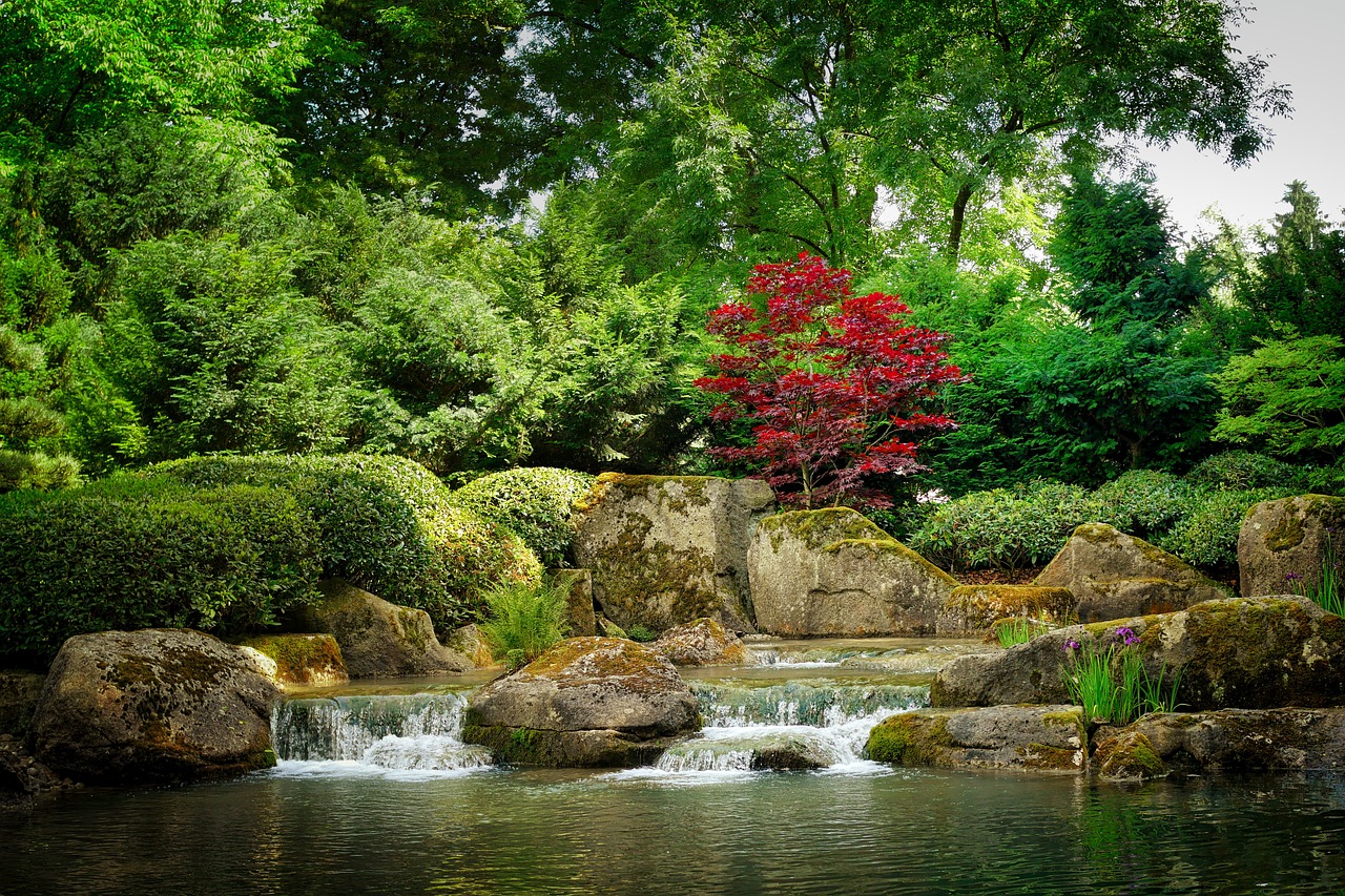 Jardin japonais : tout savoir pour sa création