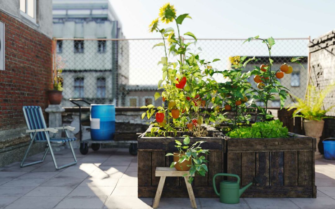 Jardins urbains : cultiver en ville.