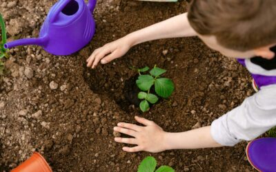 Conception de jardins pour enfants : éducatif et amusant.