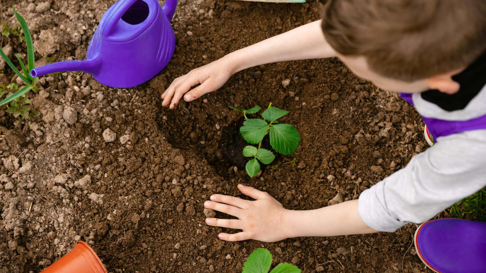 enfant qui jardine