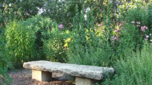 banc en pierre dans un jardin