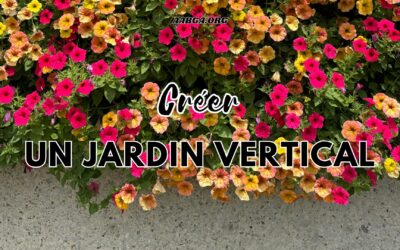 Comment créer un jardin vertical avec des palettes recyclées ?